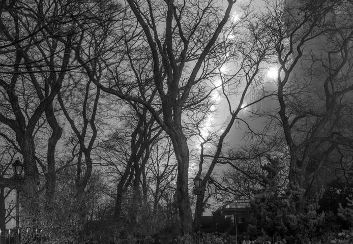 Brooklyn in January