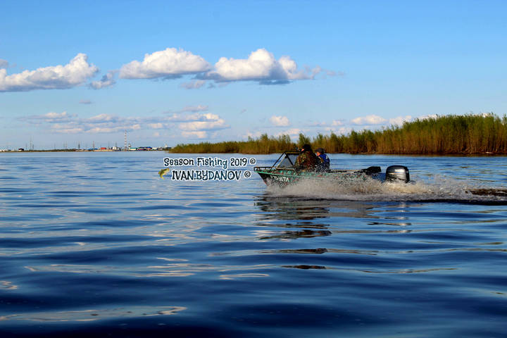 Season Fishing 2019 ©️
