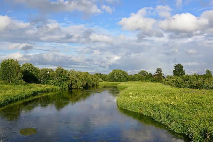у реки