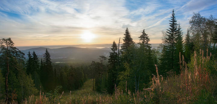 Утренняя панорама 
