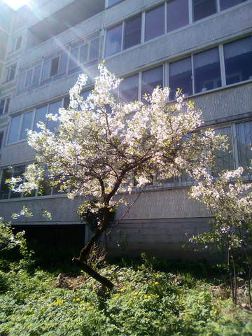 5f0b497de2cfda365c5b0988