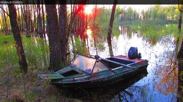 Season Fishing 2015 ©