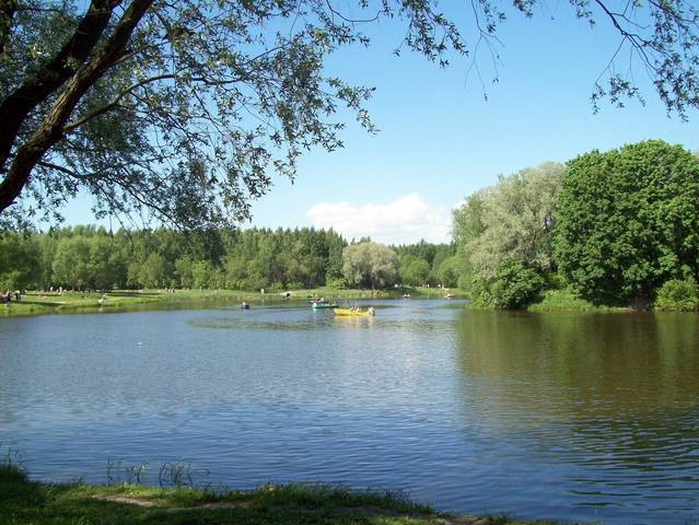 Южно-приморский парк. Пруд