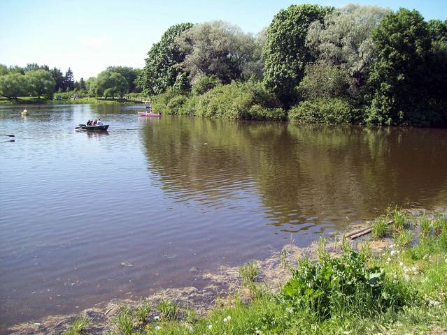 Южно-приморский парк. Пруд