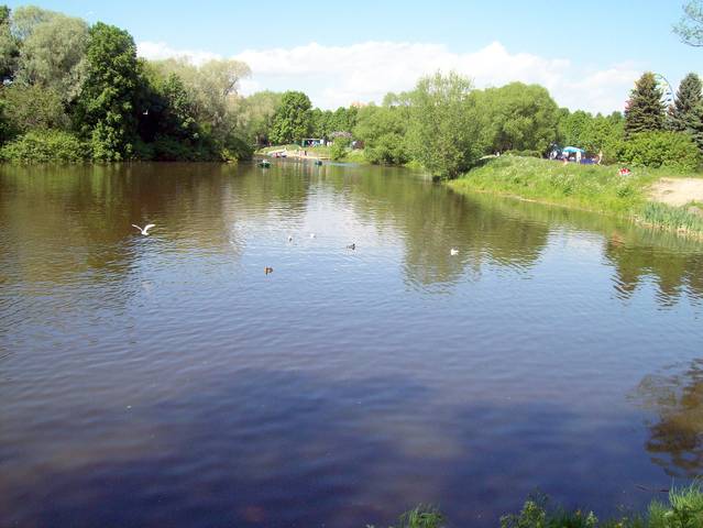 Южно-приморский парк. Пруд