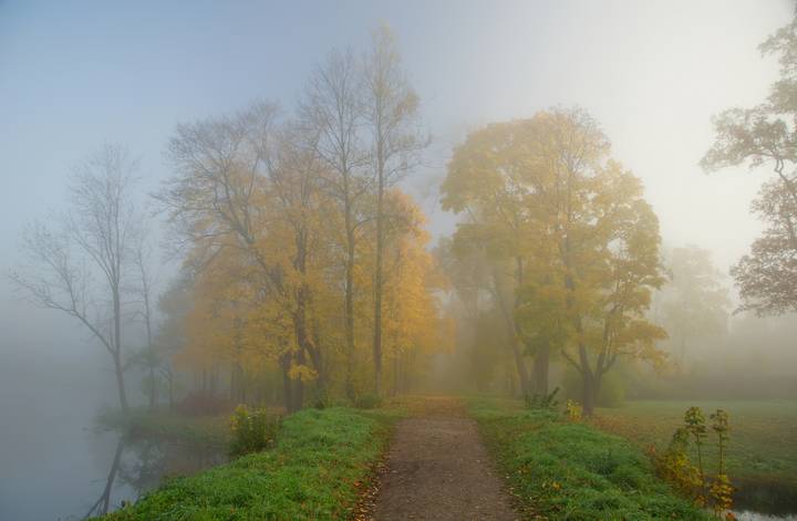 Осеннее утро