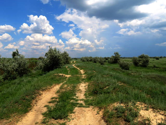 Полевая дорога.