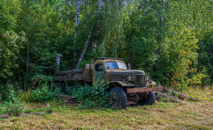В Лесу .......
