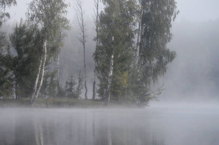 Утреннее..,...   