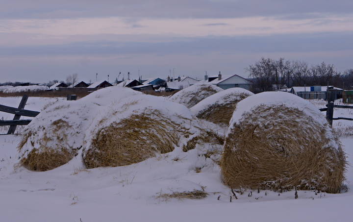 Зимний сельский пейзаж.
