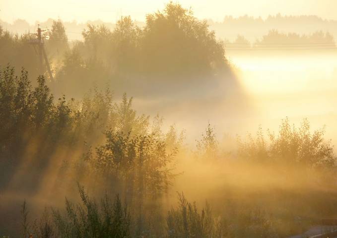 Жаркое утро......