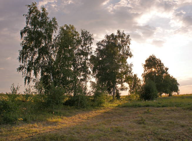 Вечернее.