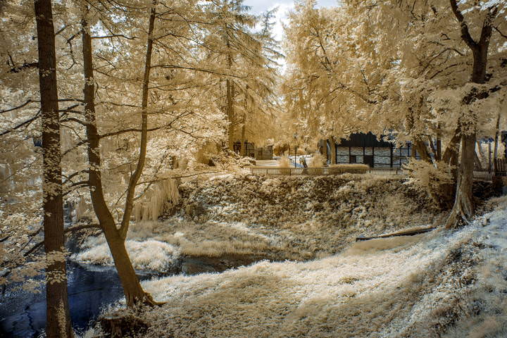В июльском парке