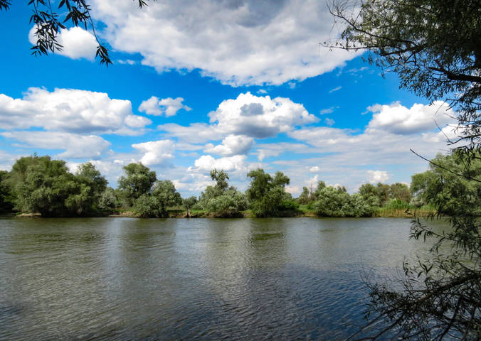 У реки