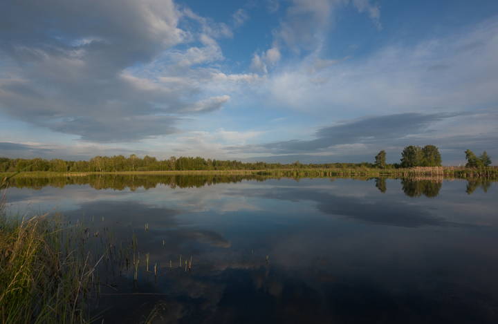 Релакс