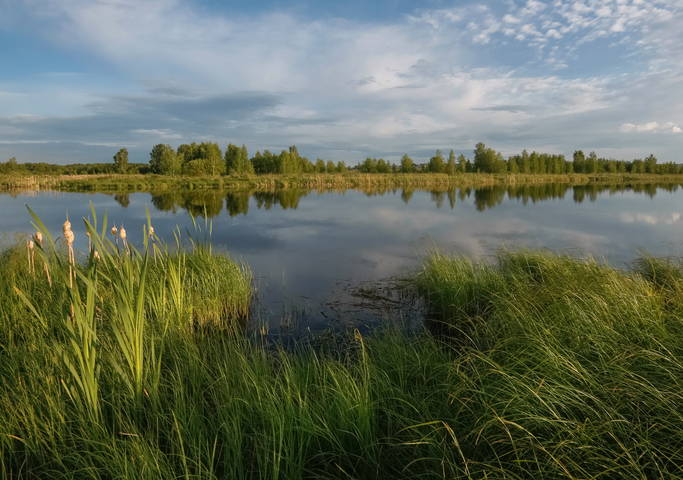 Вечернее