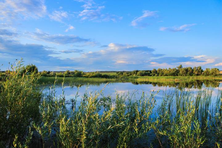 Вечерело