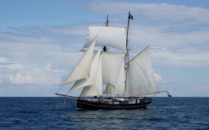 Легендарный Wylde Swan