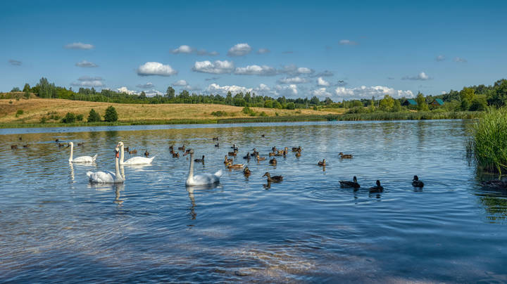 Городищенское озеро