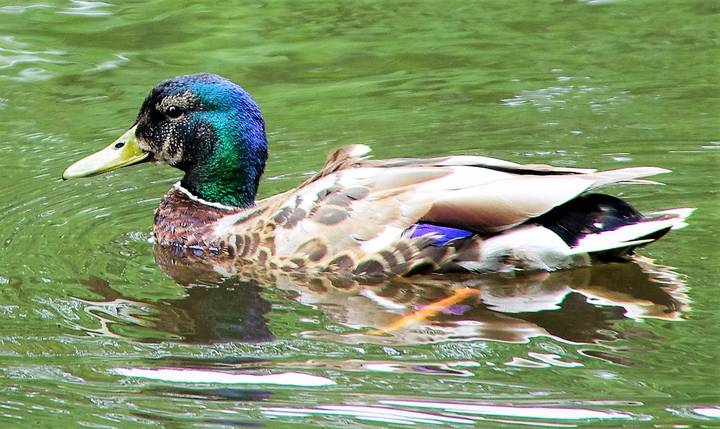 # 6