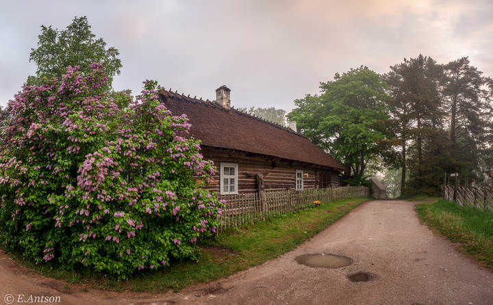 Утро в деревне