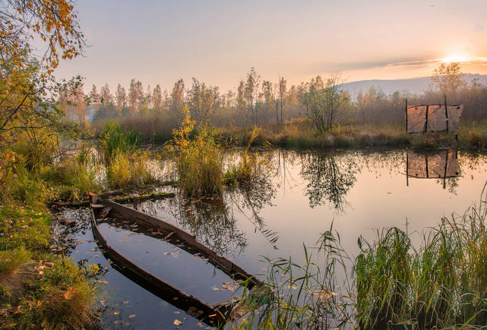 Подкралась   осень   
