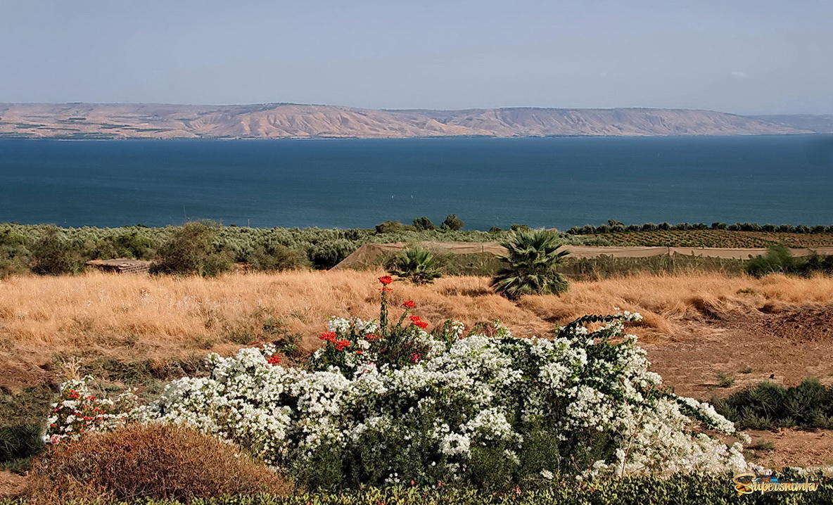  Возле Галилейского моря