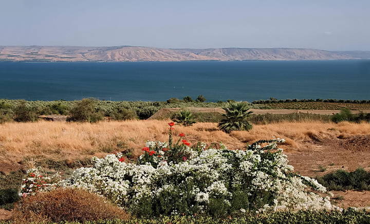  Возле Галилейского моря