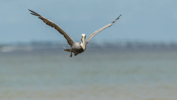 # 1