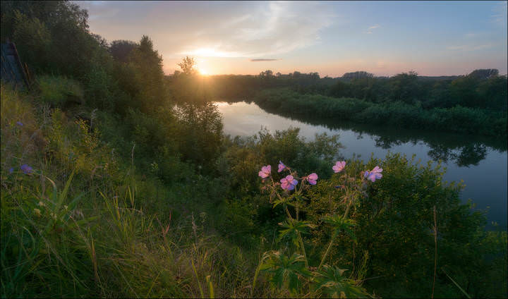 На берегу Уньги
