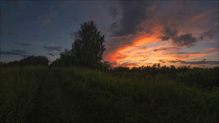 В сумерках