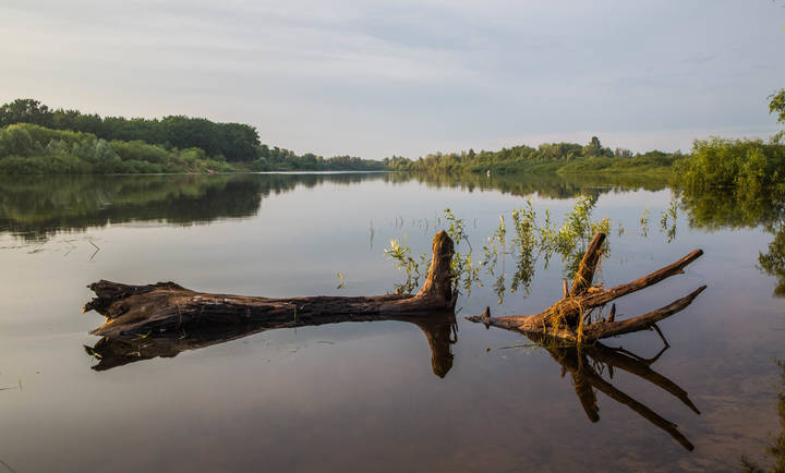Тихая река.