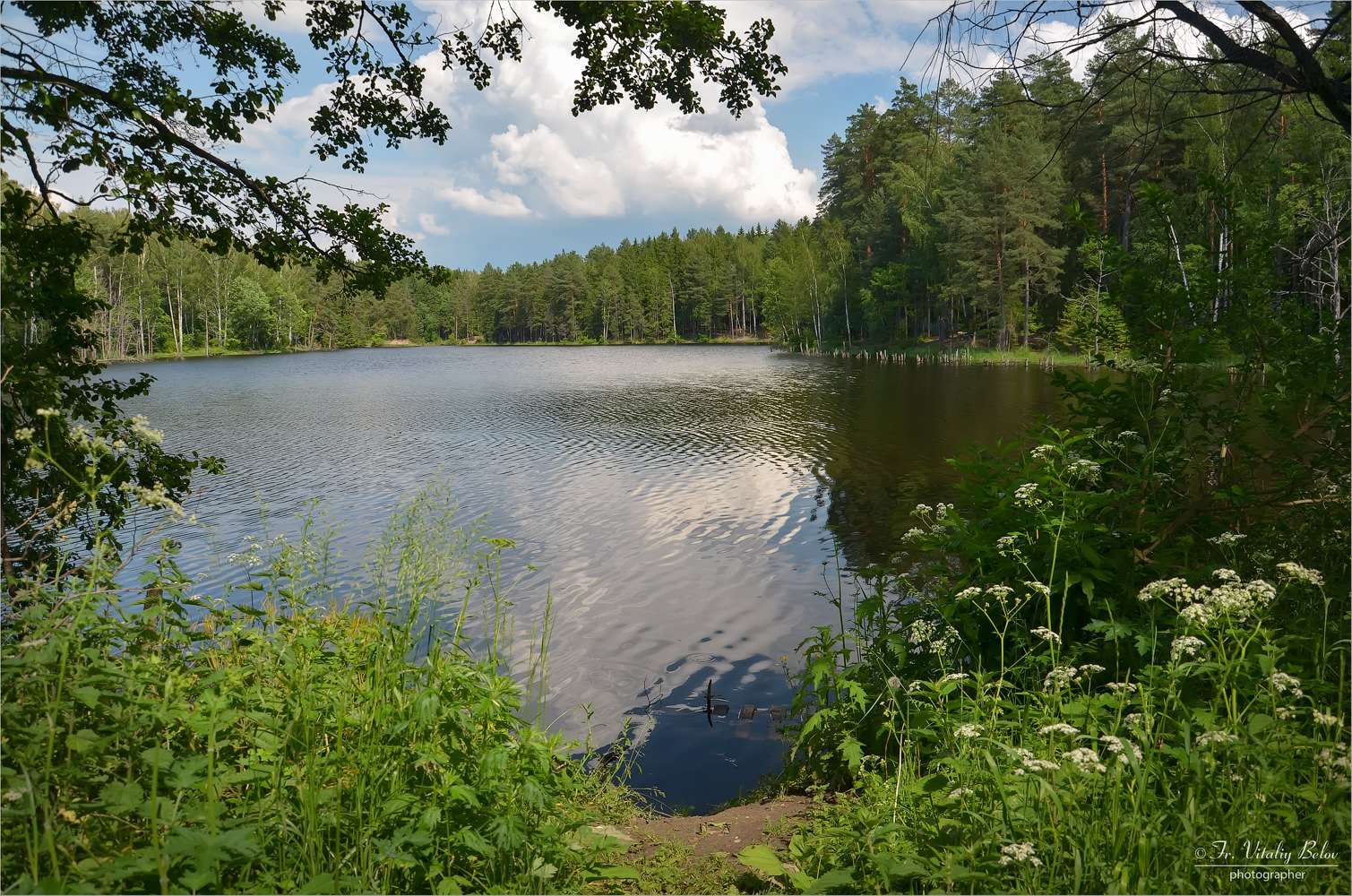 Лесное озеро Сестрорецк