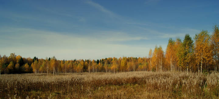 Осень