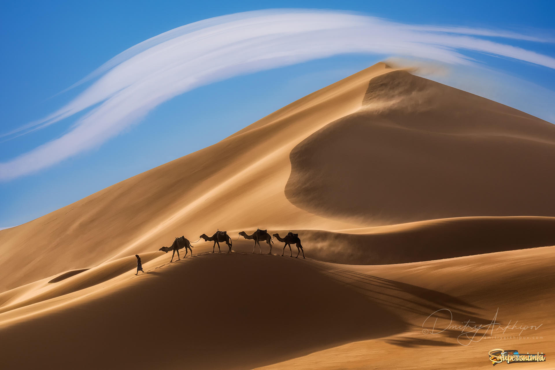 100 караван. Фототур в Марокко. Пейзаж пустыни Кызылкум. Верблюд в пустыне.