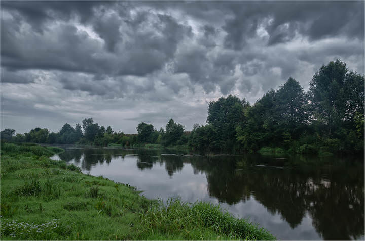 Заросший берег