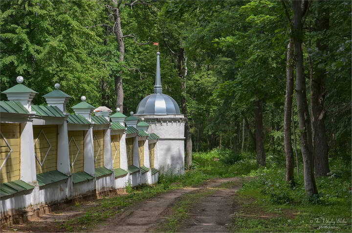 Скит окруженный лесом
