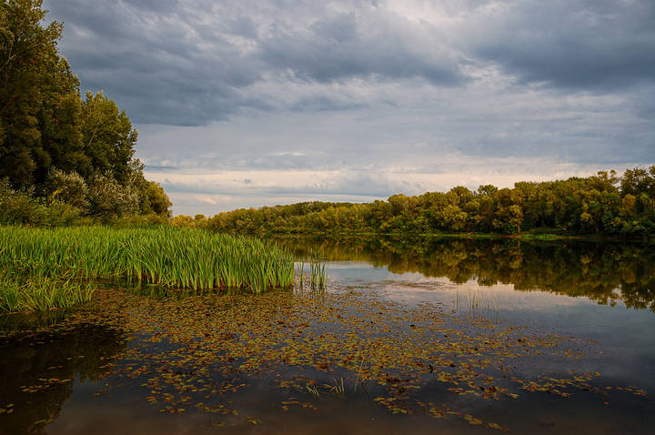 Первые краски осени. Река Самара.