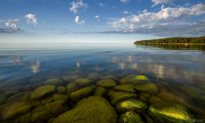 Тихое море