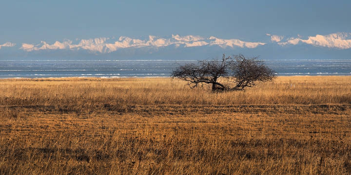 Застыли волны на просторе