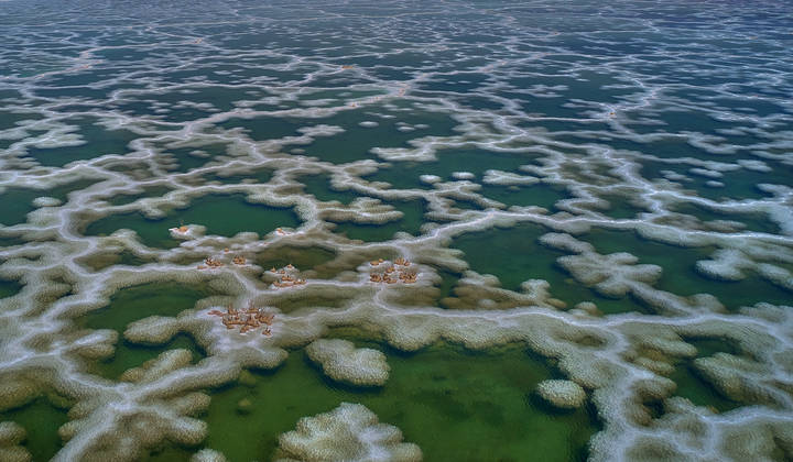 Кружево Мёртвого моря... 