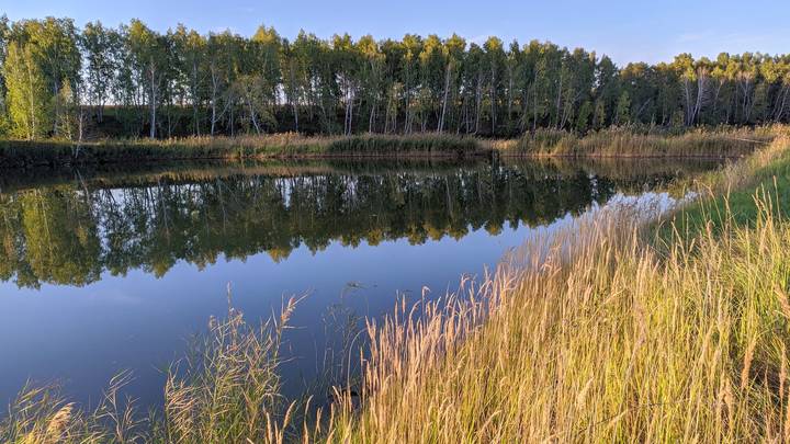 Пойма реки Омь
