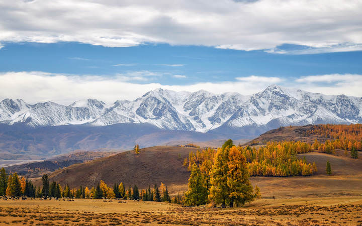 Осень  в  Курайской  степи...