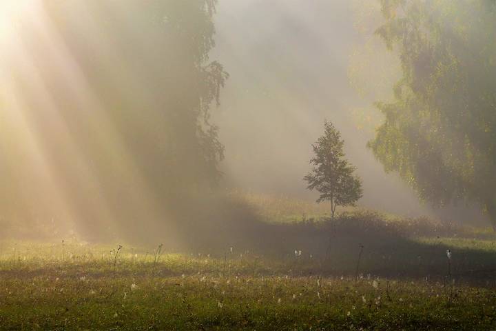 Осенние зарисовки
