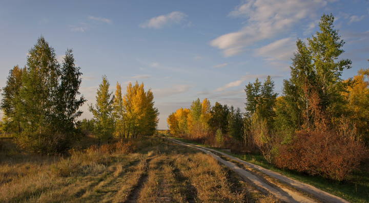 Дорога в осень.