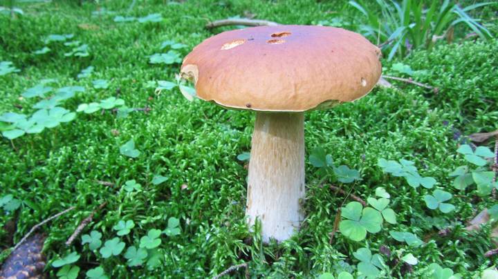 5f5ed330e2cfda54800b712d