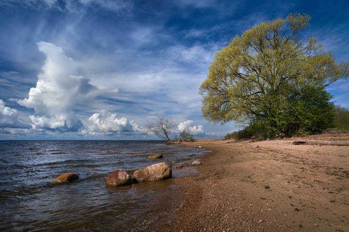 Парусники