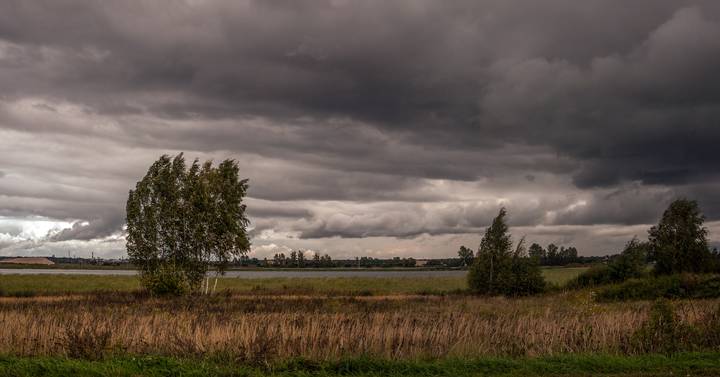 Do you see how windy and dreary it is today?
