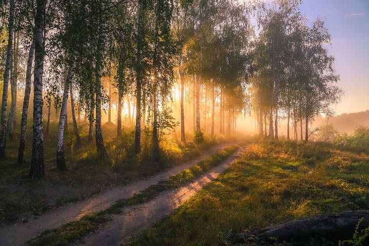 Утро дышит тишиной.