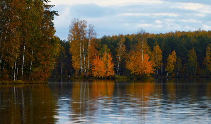 Осенняя. тишина...